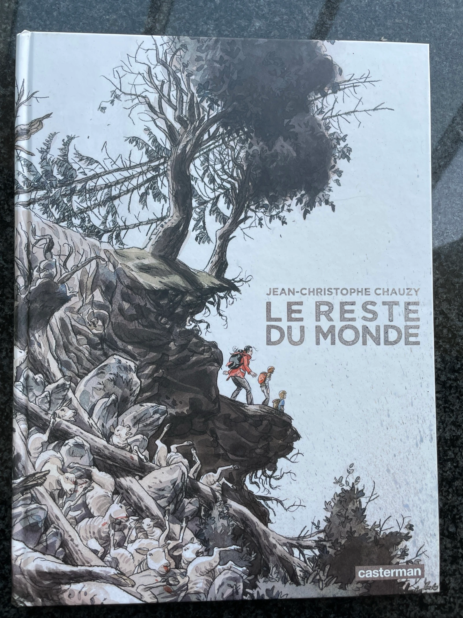 Bd le reste du monde / Jean-Christophe chauzy / casterman 